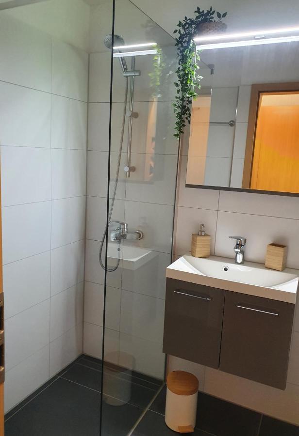 Modernisierte Ferienwohnung Naturseelen Mit Schwimmbad Und Sauna Braunlage Zewnętrze zdjęcie