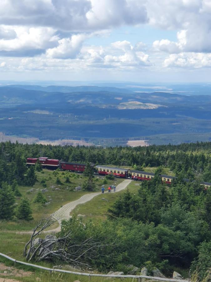 Modernisierte Ferienwohnung Naturseelen Mit Schwimmbad Und Sauna Braunlage Zewnętrze zdjęcie