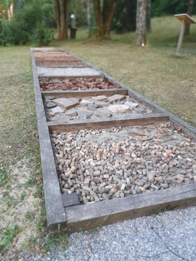 Modernisierte Ferienwohnung Naturseelen Mit Schwimmbad Und Sauna Braunlage Zewnętrze zdjęcie