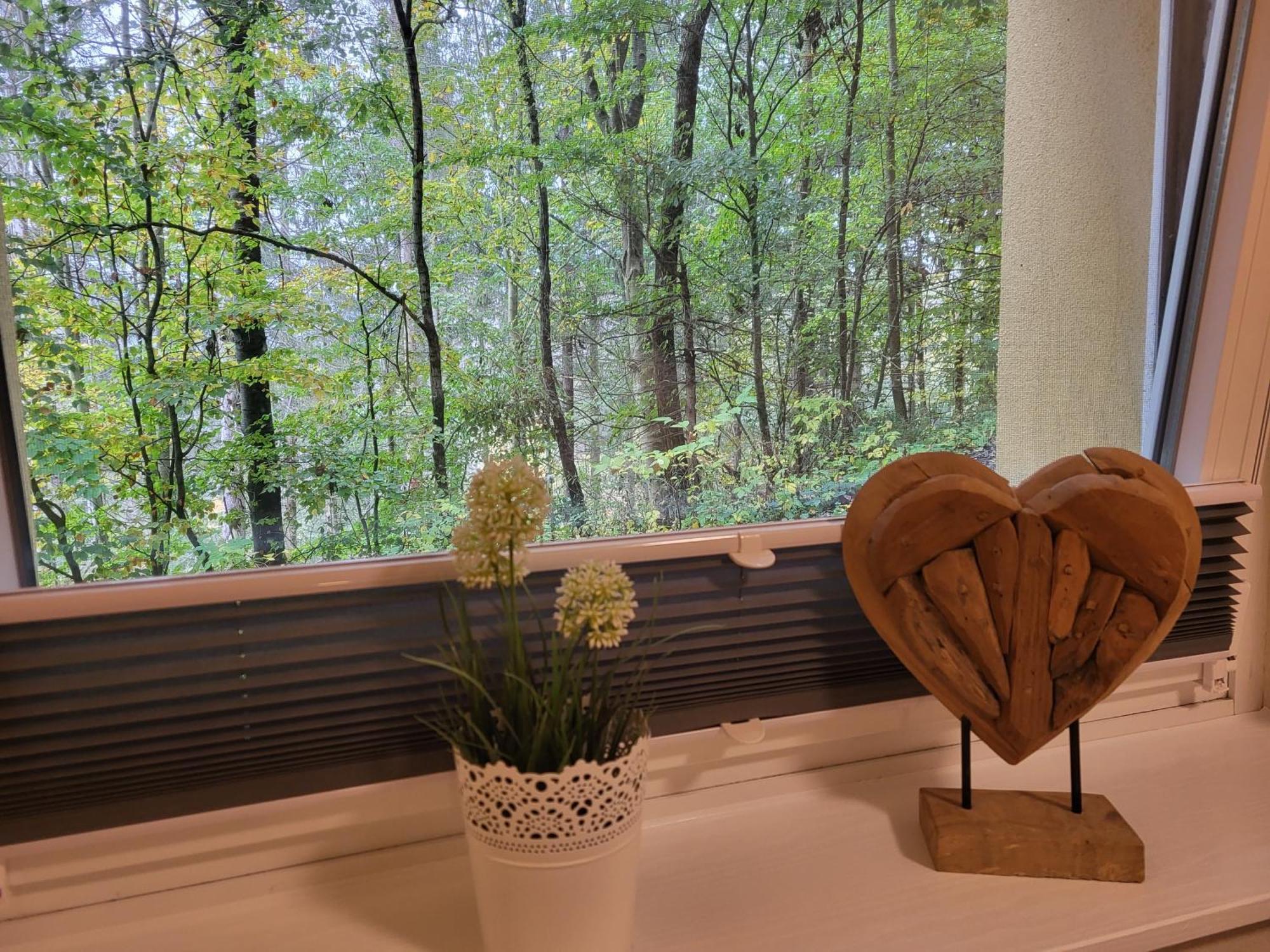 Modernisierte Ferienwohnung Naturseelen Mit Schwimmbad Und Sauna Braunlage Zewnętrze zdjęcie